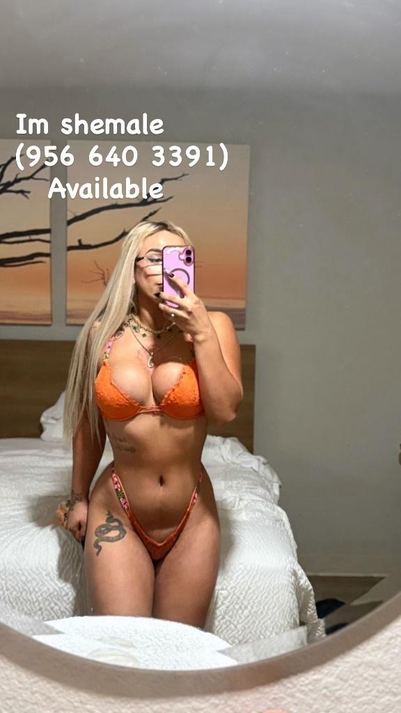 escort photo 5